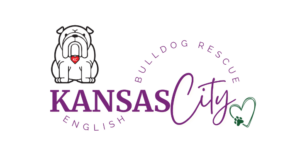 KC English Bulldog Rescue – A nonprofit rescue organization